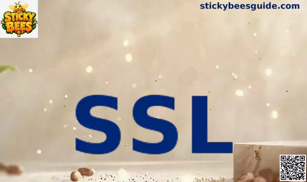 Ilustración de seguridad SSL para sitios web en México