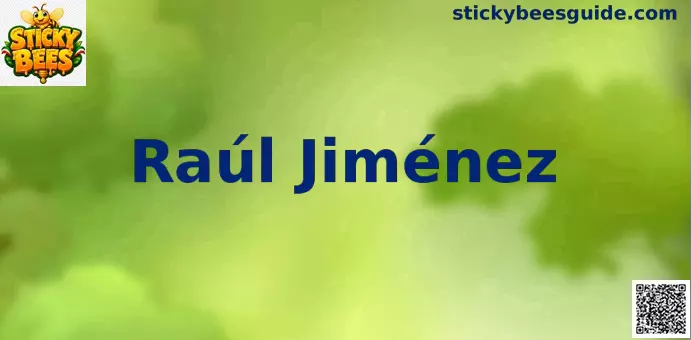 Raul Jimenez analisis futbolistico